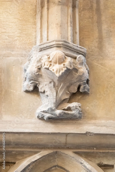 Fototapeta Karolinum, originally Collegium Carolinum, is the historical seat of Charles University in the building of its oldest university college, which was named after its founder, Charles IV.