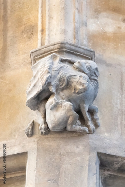 Fototapeta Karolinum, originally Collegium Carolinum, is the historical seat of Charles University in the building of its oldest university college, which was named after its founder, Charles IV.