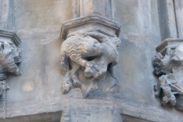 Fototapeta Karolinum, originally Collegium Carolinum, is the historical seat of Charles University in the building of its oldest university college, which was named after its founder, Charles IV.