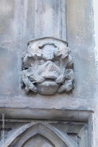 Fototapeta Karolinum, originally Collegium Carolinum, is the historical seat of Charles University in the building of its oldest university college, which was named after its founder, Charles IV.