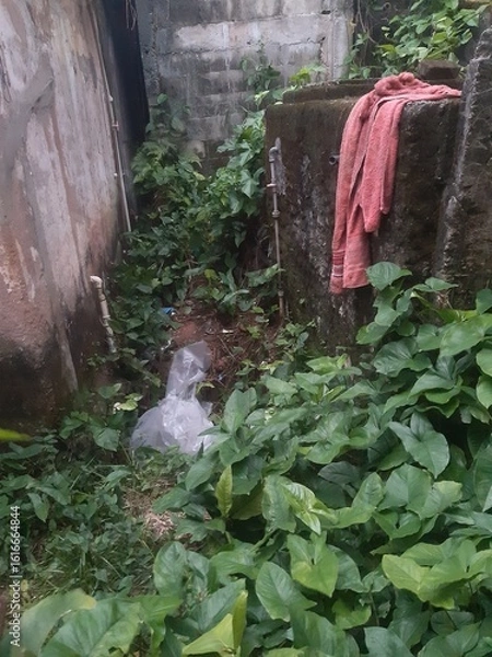Fototapeta water flowing into the garden
