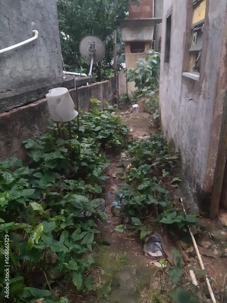 Fototapeta old wooden house