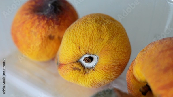 Obraz Plastic container with moldy fruit inside