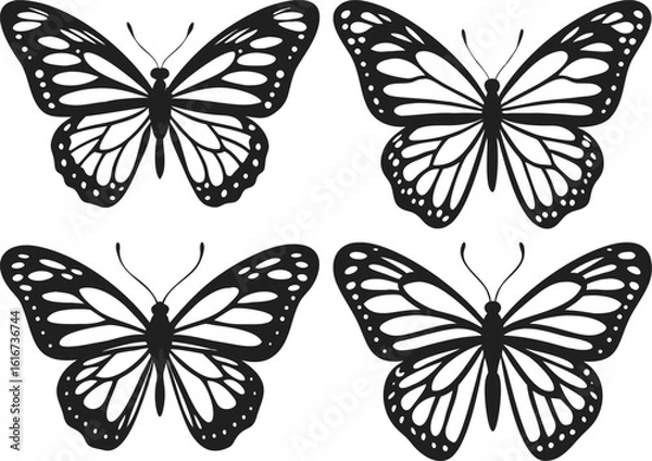 Obraz Monarch Butterfly Vector Art
