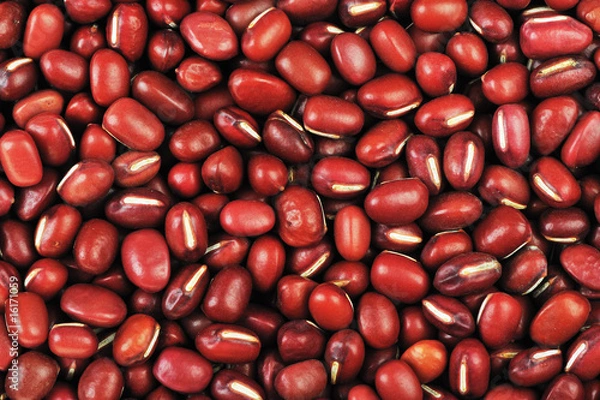 Obraz red beans
