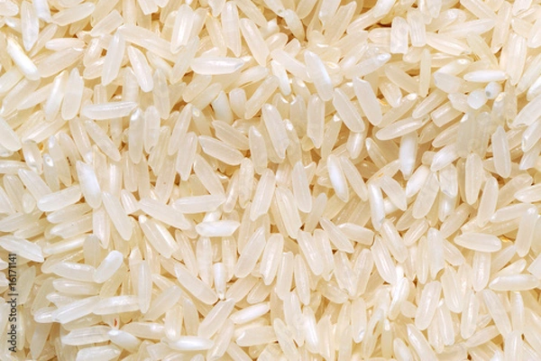 Obraz rice background