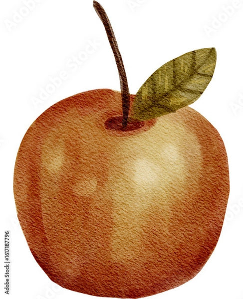 Obraz Watercolor Red Apple with Leaf