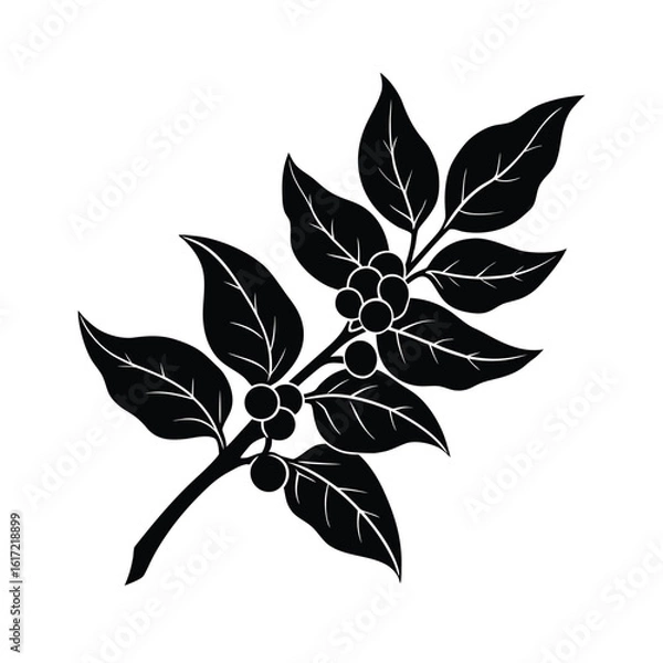 Fototapeta Coffee day vector art of a black silhouette of a coffee branch with leaves and beans, isolated