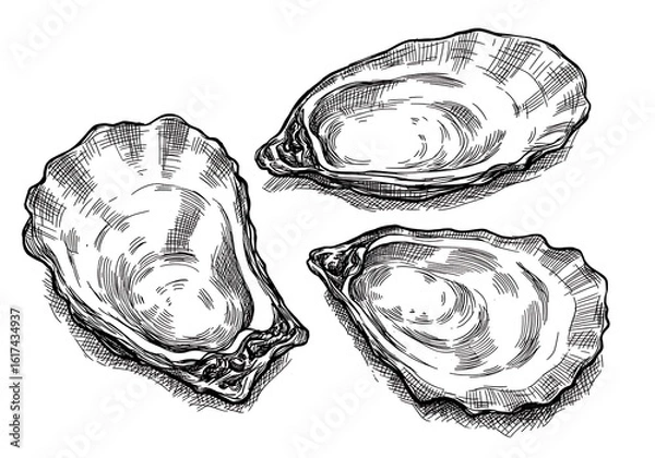 Fototapeta 貝殻の静寂