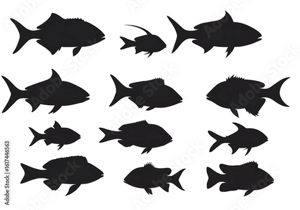 Fototapeta 影絵の魚たち