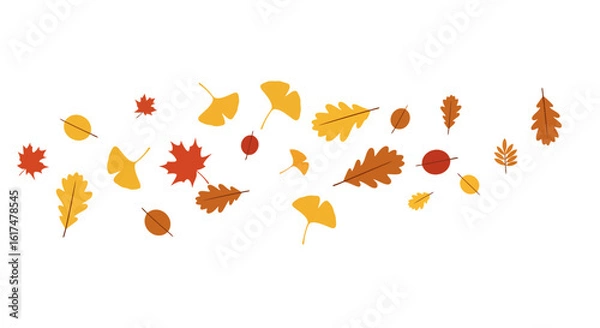 Fototapeta Autumn Leaves Assortment - Vector Illustration