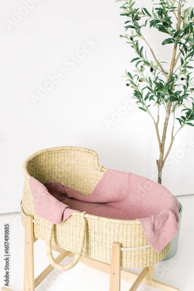 Obraz Blank White Wall Space Studio Baby Girl Basket Bassinet Olive Tree