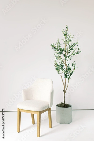 Obraz Blank White Wall Chair Studio Office Space Olive Tree