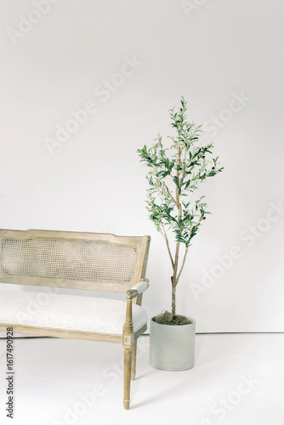 Obraz Studio Blank Space Home Tree Bench