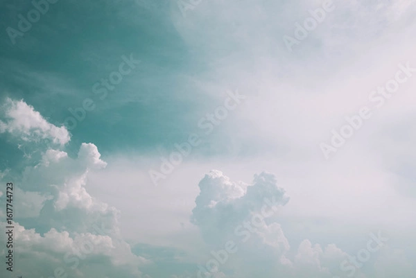 Fototapeta 夏の空