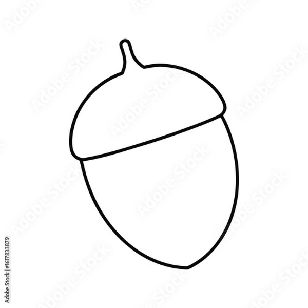 Obraz acorn simple line