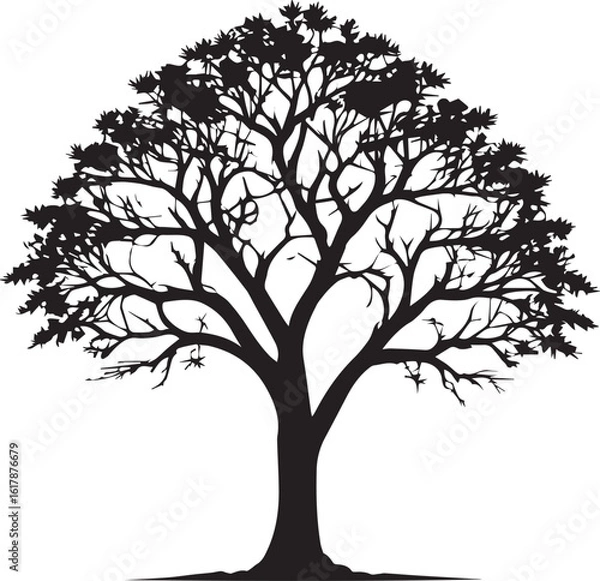 Fototapeta tree silhouette Vector | Minimalist & Trendy tree Silhouette Design | Unique & Stylish tree Artwork for Vector design	