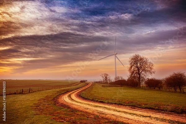 Fototapeta wind turbines in the field, northeast, UK, sunrise
