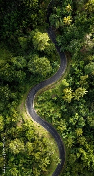 Fototapeta Winding road through lush green forest (1)