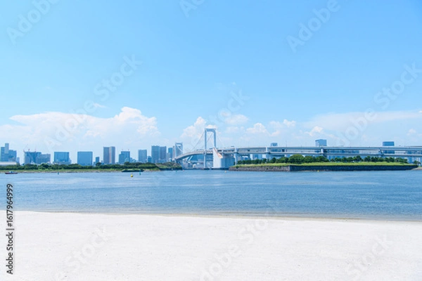 Obraz 夏のお台場海浜公園の風景