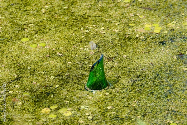 Fototapeta green broken bottle sticking out of dirty water, bad ecology.