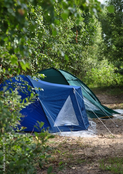 Obraz Camping Tents in the forest