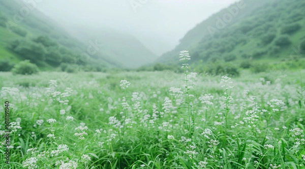 Obraz mountain landscape with green grass