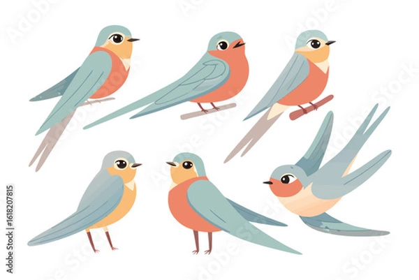 Fototapeta Swallow Bird Collection: A charming collection of swallow illustrations, showcasing their elegant forms and vibrant plumage in various poses, perfect for nature-themed designs.