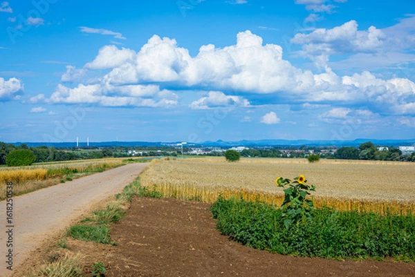 Obraz summer landscape with nice clouds and fields