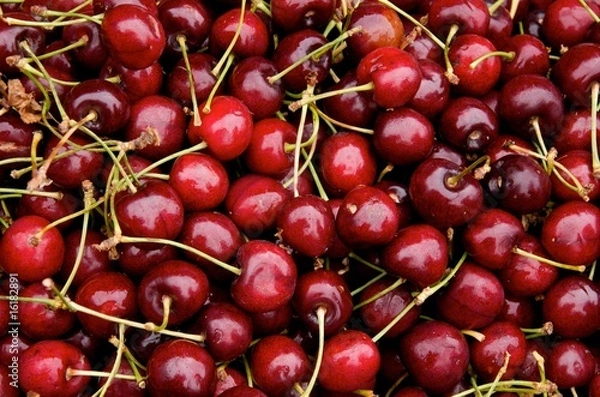Fototapeta Bing Cherries