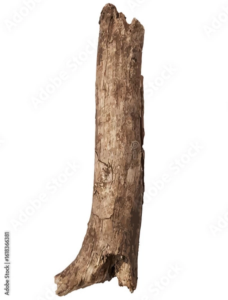 Obraz Weathered Tree Trunk Isolated on White Background - Vector Illustration