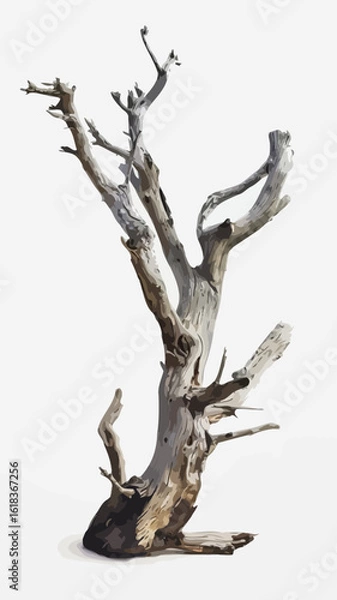 Obraz Weathered Dead Tree with Gnarled Twisted Branches – Vector Illustration