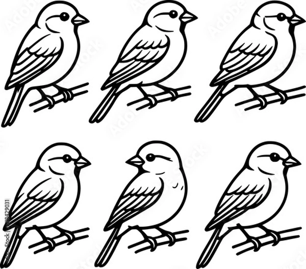 Fototapeta Sparrow sitting on branch black line drawing collection vector set 