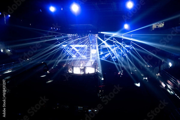 Fototapeta dynamic lighting at MMA competitions