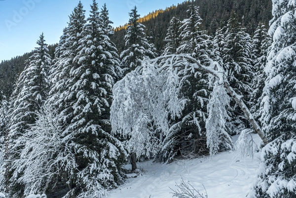 Obraz Paysage d' hiver dans la chaîne de Belledonne , Isère , France