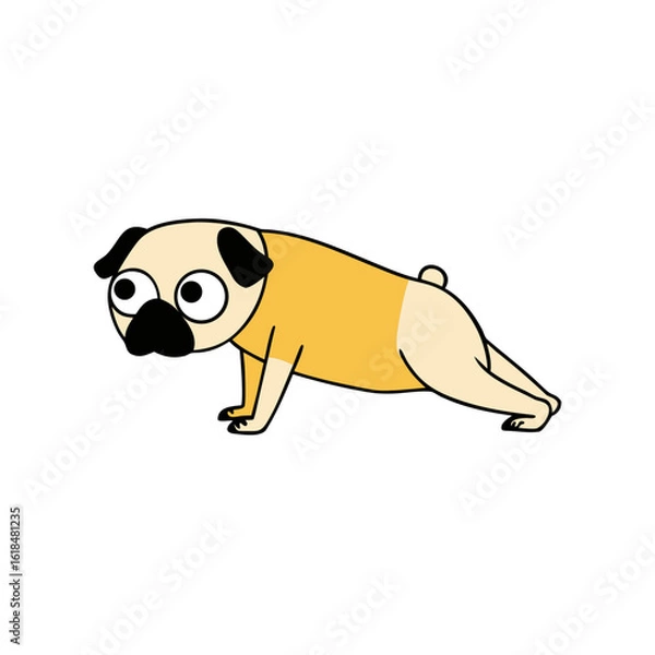 Obraz pug attempts a complex pose