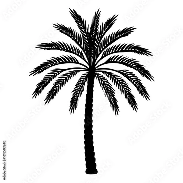 Obraz Minimalist Iconic Isolated Date Palm