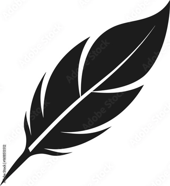 Obraz feather vector illustration