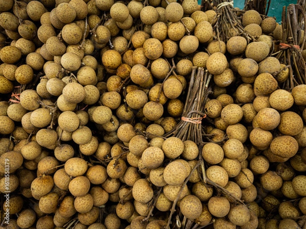 Fototapeta A top-down, detailed shot of numerous longan fruit bunches, their rough, light brown skin and stems visible in a bountiful and rustic display, likely at a market stall.