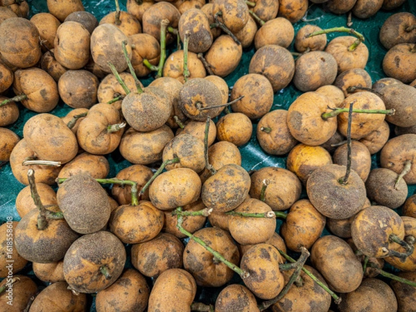 Fototapeta A large, detailed pile of brown, round buah mata kucing fruit, with their stems and speckled skin visible, displayed in an abundant and earthy arrangement, likely at a market stall.