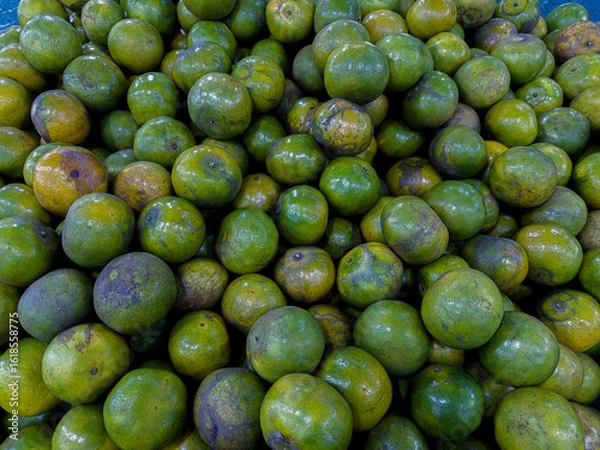 Fototapeta A close-up, high-angle shot of a large, full pile of green and yellow-hued oranges, some with blemishes, creating a dense and textured display of fresh fruit at a market.