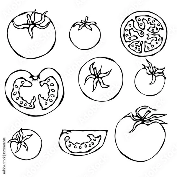 Fototapeta Set of Fresh Red Tomatoes. Half of Tomato, Slice of Tomato, Cherry Tomato. Isolated On a White Background. Realistic Doodle Cartoon Style Hand Drawn Sketch Vector Illustration.