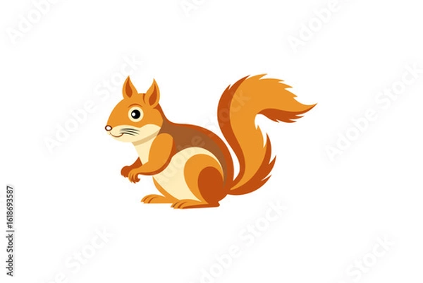 Obraz squirrel 