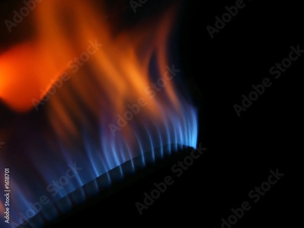 Obraz gas fire isolated on black background