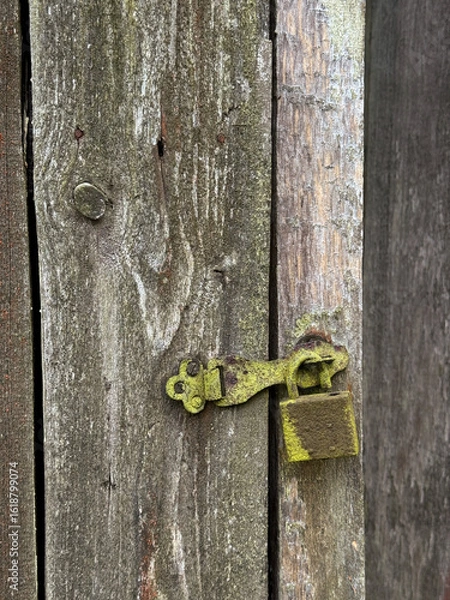 Fototapeta Hasp with padlock on a wooden door. Metal parts rusty and covered with lichen. Close-up.
