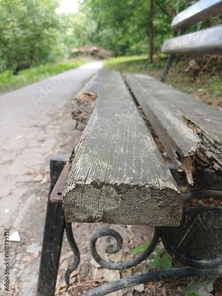Fototapeta Weathered Wooden Park Bench Close-Up in Nature