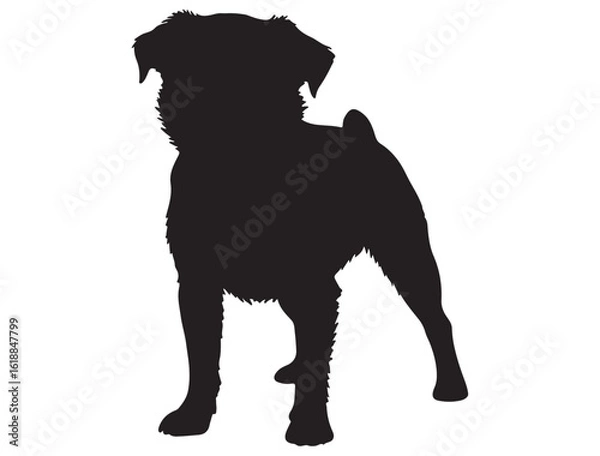 Obraz BRUSSELS GRIFFON DOG SILHOUETTE