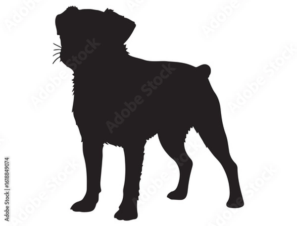 Obraz BRUSSELS GRIFFON DOG SILHOUETTE