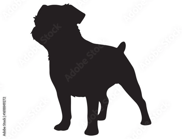 Obraz BRUSSELS GRIFFON DOG SILHOUETTE