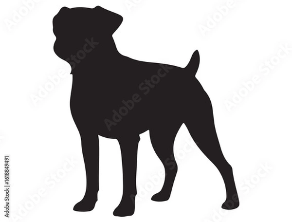 Obraz BRUSSELS GRIFFON DOG SILHOUETTE